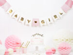 baner-za-bebeshko-parti-baby-girl
